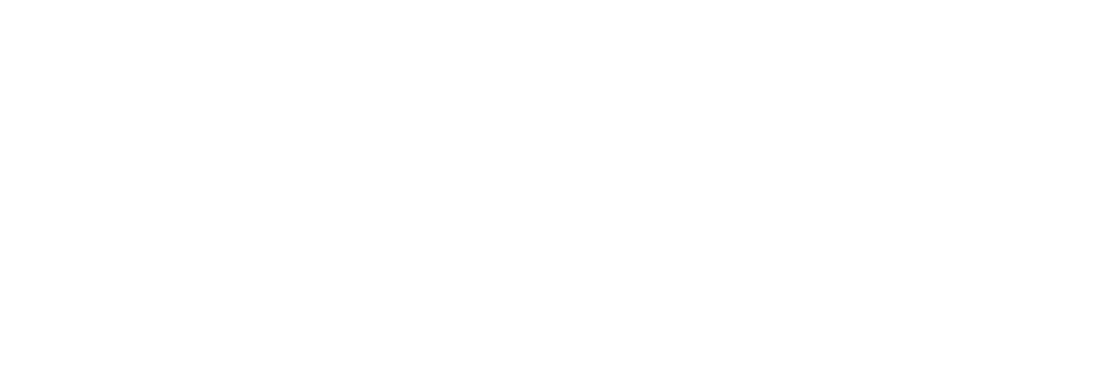 Oaxaca Salsa & Bachata Paramount Cup